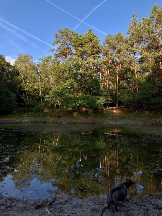 Gouden Hert: Relaxen In Comfort! #Otterlo #Hogeveluwe Exterior foto